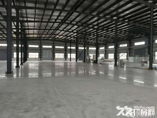出租深圳东路东段新建厂房-图4