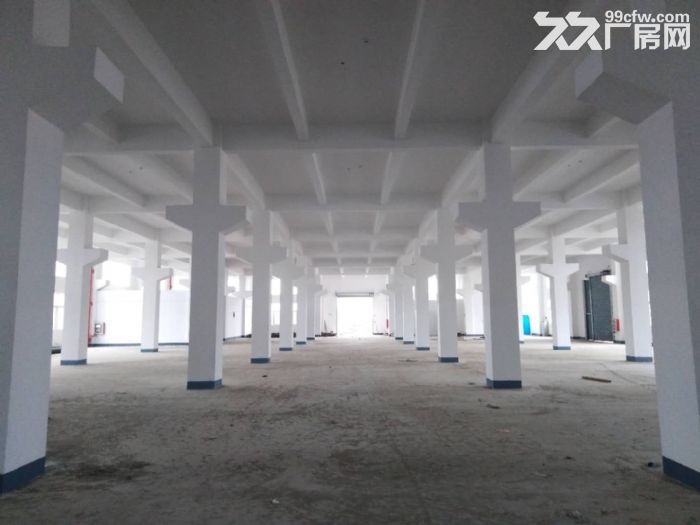 淮安市金湖县金京工业园40000㎡厂房出租出售，可定制建设厂房-图3