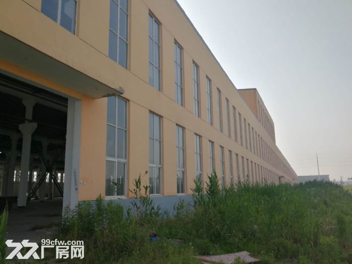 厂房出租，可用面积大，物流快递，存储-图4