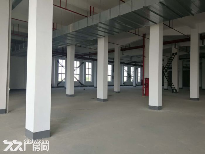 厂房出租，可用面积大，物流快递，存储-图7